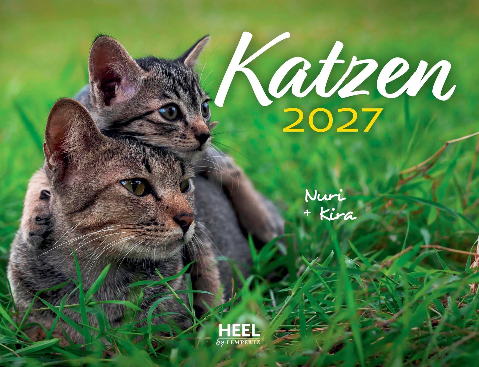 Katzen 2027 Eintragkalender - Bild 5