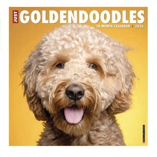 Willow Creek Press 2026  18 Month “Goldendoodles” Calendar