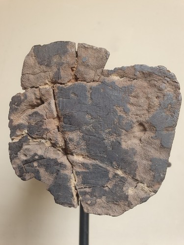 Hermoso cuenco Yoruba Agere Ifa. Usado, auténtico, ejemplo antiguo. 27cm. Nigeria. - Imagen 22 de 22