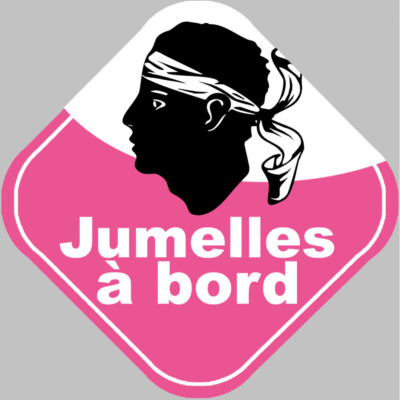 Sticker Adhésif Voiture Bébés à Bord V2 - Jumeaux/Jumelles Amusants - Anti-UV Anti-Rayures 15x14 Cm