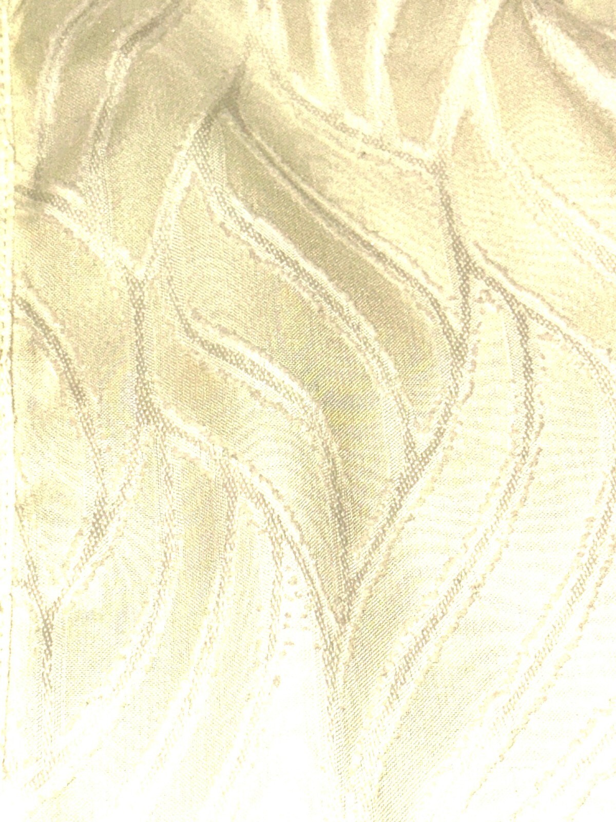 Picture 6 of 8