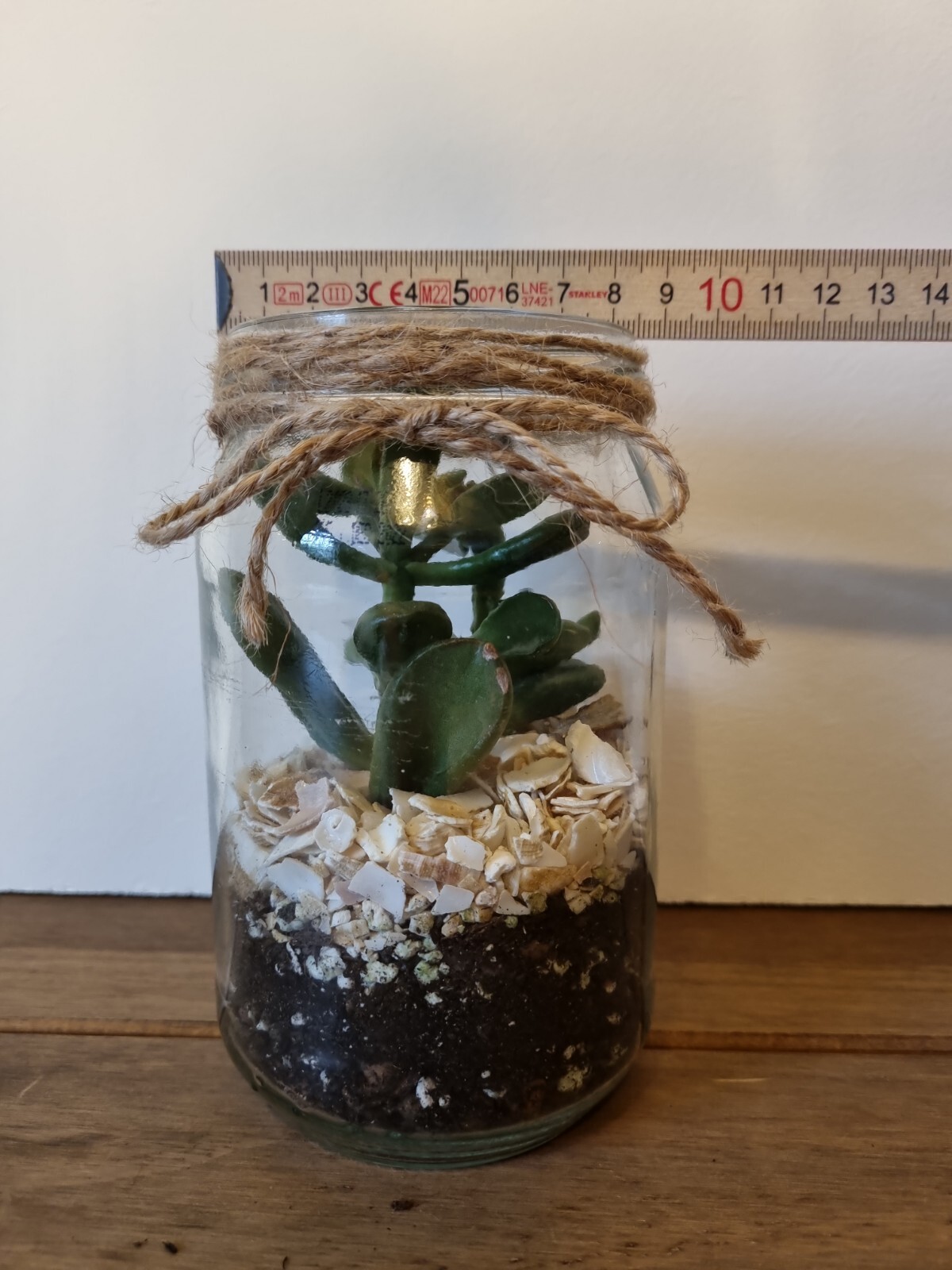 Jam Jar Terrarium Kit eBay