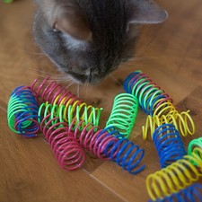 10pcs Pet Wide Durable Heavy Gauge Plastic Colorful Springs Cats Toy USA SHIP