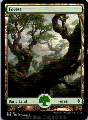 Forest (274) - Full Art - MP - Battle for Zendikar 274 Magic: The Gathering