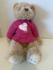 FAO Schwarz 2012 Toys R Us Teddy Bear Plush Stuffed Animal in Pink Heart Dress