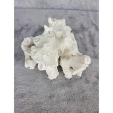 Artificial White Coral Branch Decor Display Specimen Ocean Beach Coastal
