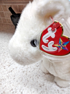 RARE Ty Beanie Buddy MAGIC Sparkling Dragon White Large Plush Collectable w/Tag