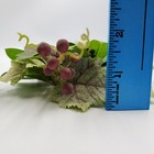Bild 11 von 12