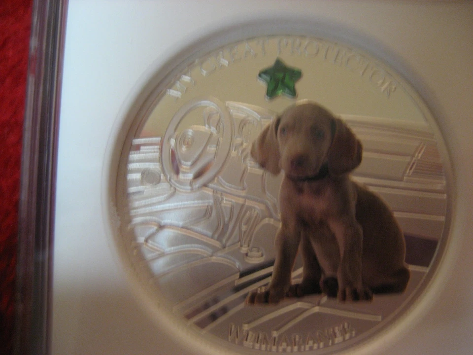 2013 Fiji Dogs & Cats Series Weimaraner NGC PR70  1oz Silver w/ Swarovski Coin - Image 4 of 4