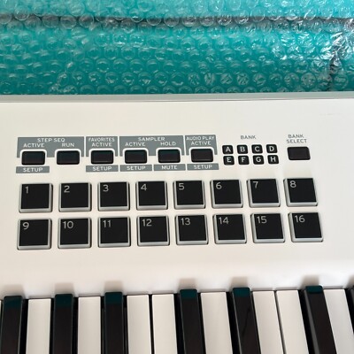 Korg Kross 2 SC 61-Key Keyboard Synthesizer Soft Case and Adapter