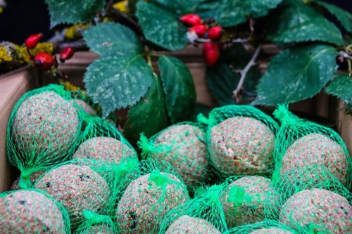 Anhaltiner Meisenknödel 100St. mit Netz mit Insekten Rindertalg Wildvögel Fett - Bild 4 von 7
