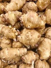 Jerusalem Artichokes-3 SproutingTubers for Planting, Tall Plant with Big Yields