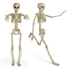 24 Inch Halloween Adjustable Skeleton Prop,Halloween Decoration Clearance,Hallow