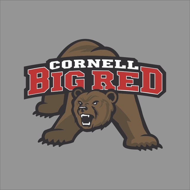 Cornell Big Red NCAA College Vinyl Decal Sticker Car Window Wall eBay