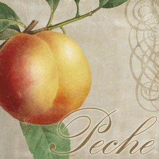 Ceramic Backsplash Tile Mural Fruit Kitchen/Bathroom - Fruits Classique I