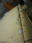 Picture 9 of 9