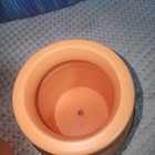 Picture 4 of 6