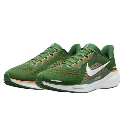 Size 11.5 Nike Pegasus 41 FAMU Florida A&M Green Running Shoe FZ5112-300