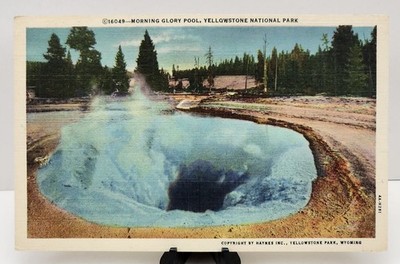 Wyoming Yellowstone National Park Morning Glory Pool Old Vintage Postcard Unused