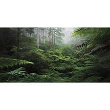 AWERT Foggy Forest Terrarium Background Green Tree Reptile Habitat Background...