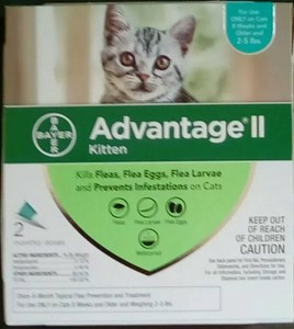 advantage 2 for kittens