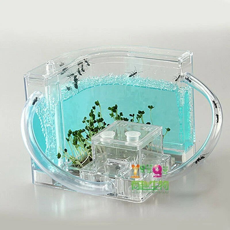 Nido de insectos de granja de hormigas 3D villa casa de mascotas sistema de alimentación azul ciencia educativo Foto 2 de 4