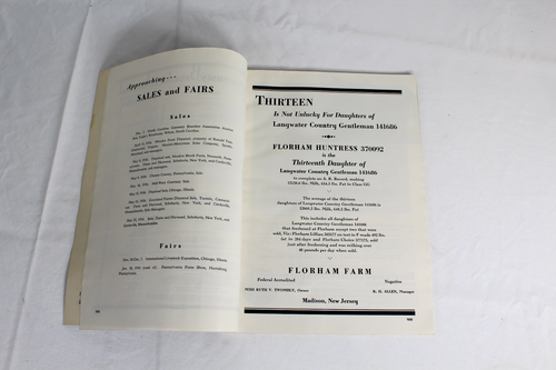 Guernsey Breeders Journal December 1, 1935 Cow Calf Bull Farms Ads Pictures - Picture 9 of 21