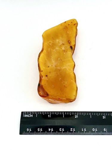 Natural Butterscotch Baltic Amber Specimen - 45.11g - Picture 2 of 2