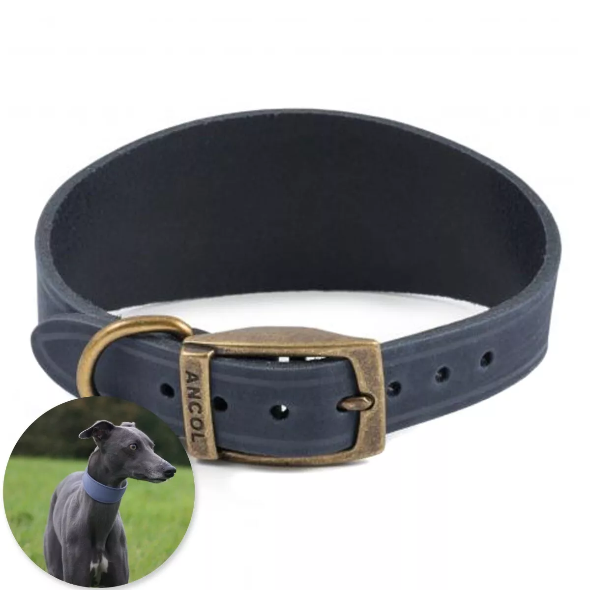 Personalised lurcher cheap collars