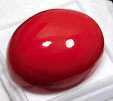 64.70 Ct Natural Italian Red Coral Cabochon Oval Cut Loose Gemstone MA-766