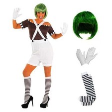 Womens Chocolate Factory Worker Costume & Wig Adult Charlie Dress Halloween
