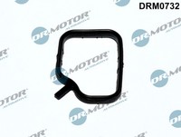Dichtung, KÜHlmittelrohr FÜR BMW 5 (F10) - Dr.Motor Automotive DRM0732