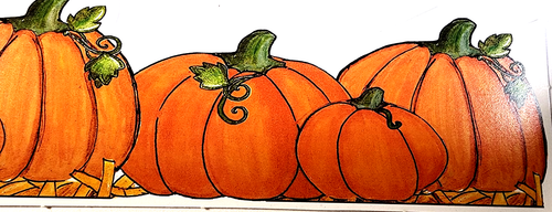 Pumpkin Patch Halloween Easter Egg Hunt Double Sided Cardstock 12" Border 2000 - Picture 3 of 6