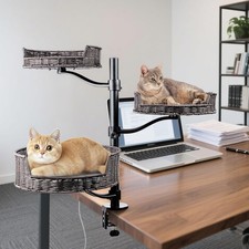 Elevated Rattan Cat Desk Bed With Cushion Indoor Perch Adjustable 360  Rotation