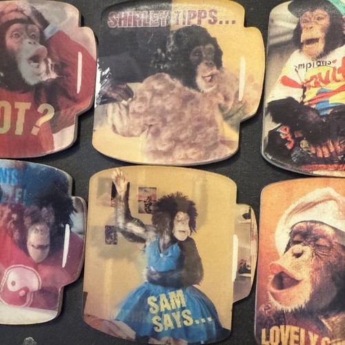 BROOKE BOND - PG TIPS MUG SHAPED CHIMP HOLOGRAM SET OF 8 FRIDGE MAGNETS - Picture 5 of 10