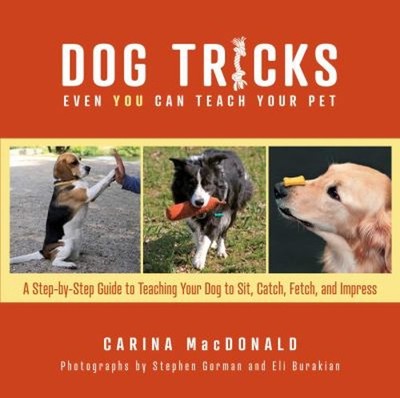 Dog Tricks Even You Can Teach Your Pet : A Step-by-Step Guide to