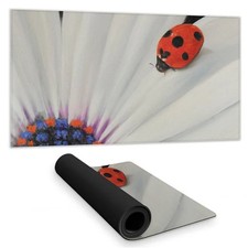 Begin Home Decor C1DM15310G03N3 16 x 32 in. Romantic Botanical Blue Desk Mat ...