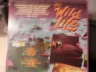 Wild Life Soundtrack-MCA-5523-VTG 1980-NM-Ed Van Halen-Bananarama-Peter Case++!!