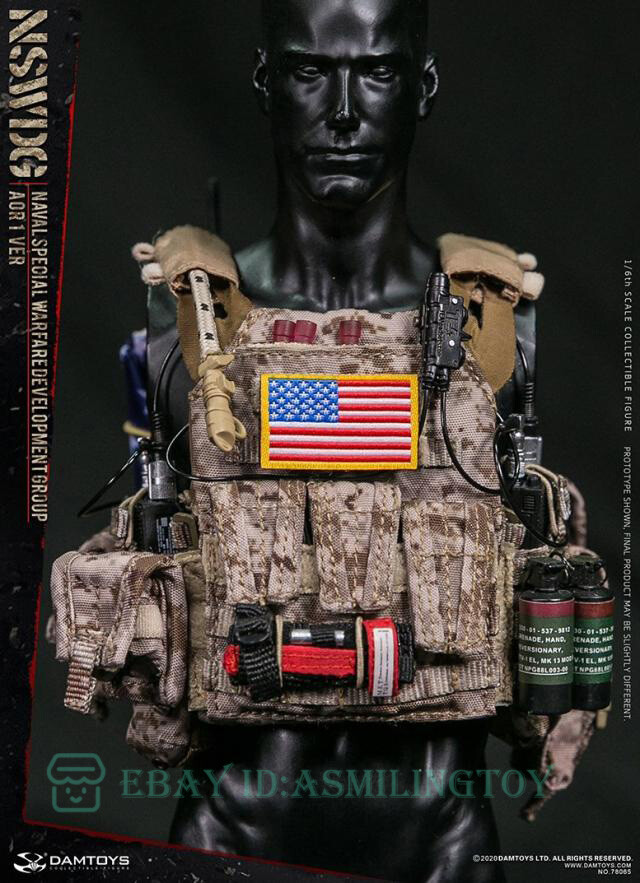DAMTOYS Dam 78065 Naval Warfare WNSWDG-AOR1 Camouflage Version 1/6