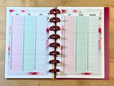 Set of 2 (Two) Month at a Glance DASHBOARD 4 USE w/ TUL/Arc (8 disc) Planner~