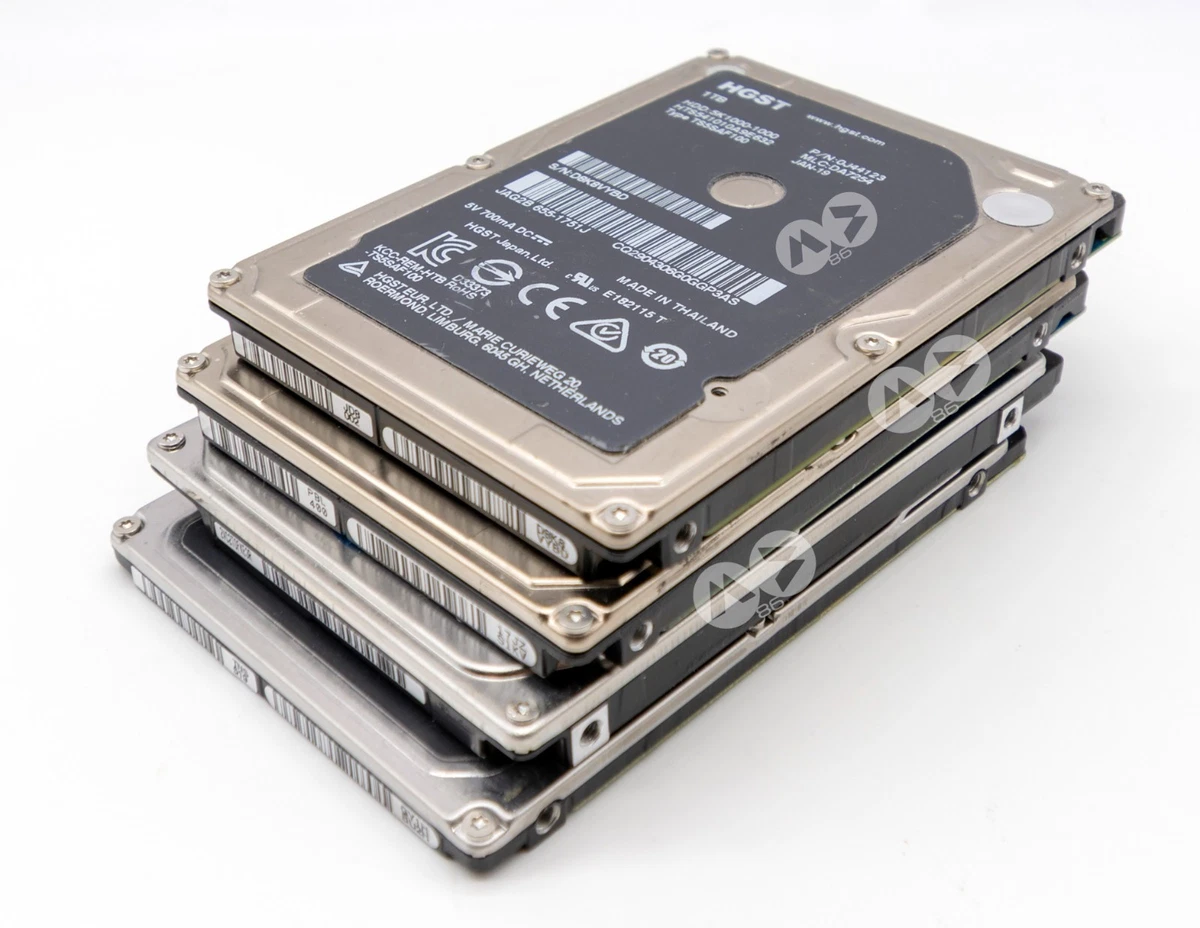 Lotto di 10 dischi rigidi interni Seagate 320GB 2.5