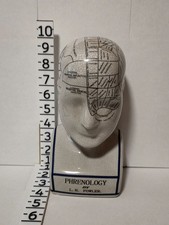 Busto testa frenologica Fowler L.N. Fowler modello anatomico teschio vintage decorativo