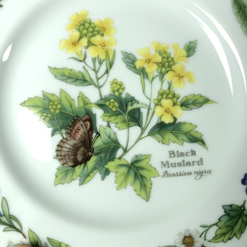 Lote de 8 Piezas Royal Worcester Herbs: 2 Cada una de Tazas y Platillos Plato de Pastel y Plato de Ensalada - Imagen 9 de 12