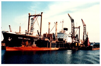 Kavo Delfini (1960) Cargo Ship Tug Boat Pilot Photo Vintage 4x6'' IMO 5337630