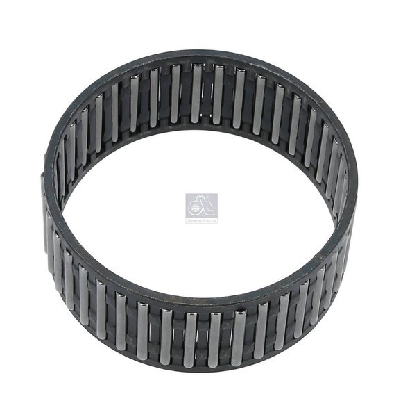 DT Spare Parts 3.50067 Nadellager Passend FüR Daf, Iveco, Man, Renault-image