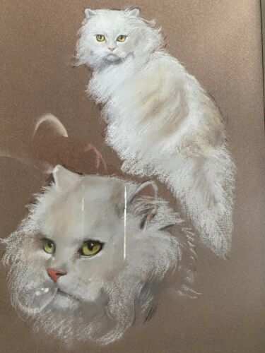 Magnifique et grand pastel de chat angora Peter Wardle 1929-2016 - Photo 1/10