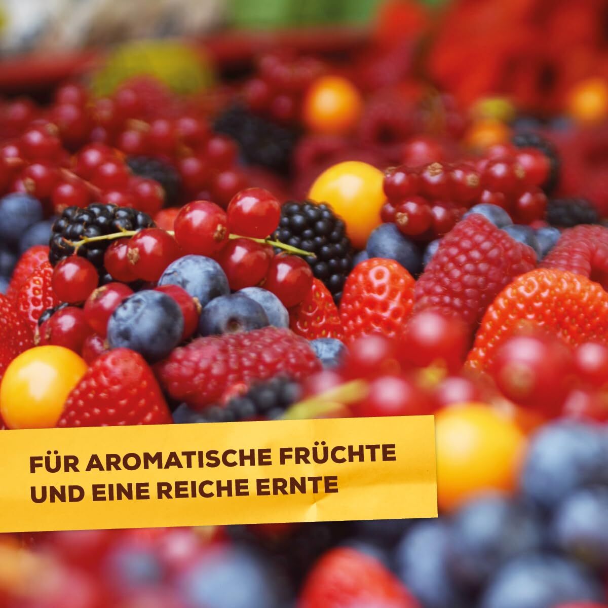 Bild 3 von 7