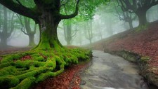 Landscape nature mist trees moss river fall water long Custom Gaming Mat Desk