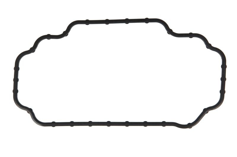 Fits DELPHI DEL7189-311 Seal Ring DEL7189-311 Gasket/seal (pump controller cove