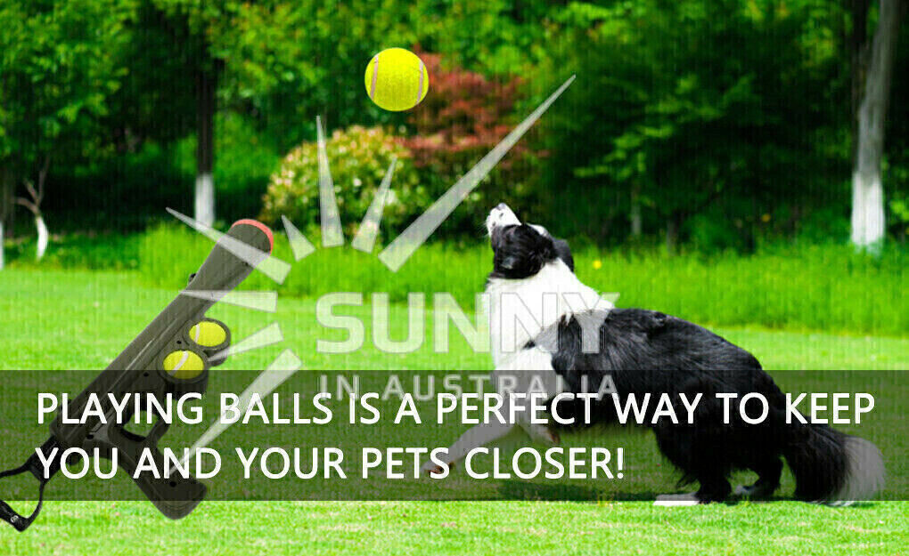 Dog Tennis Ball Gun Launcher Pet Play Outdoor Toy Fetch Throw